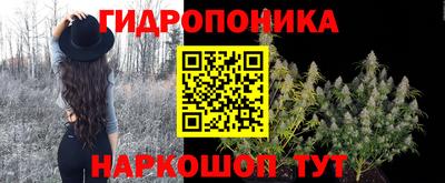 прущие грибы Аргун